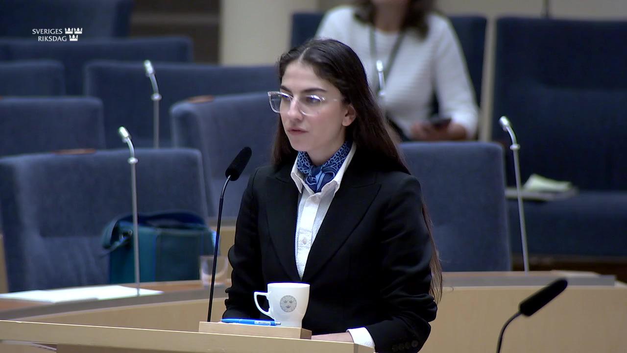 Stillbild från Interpellationsdebatt, Sveriges klimatmål