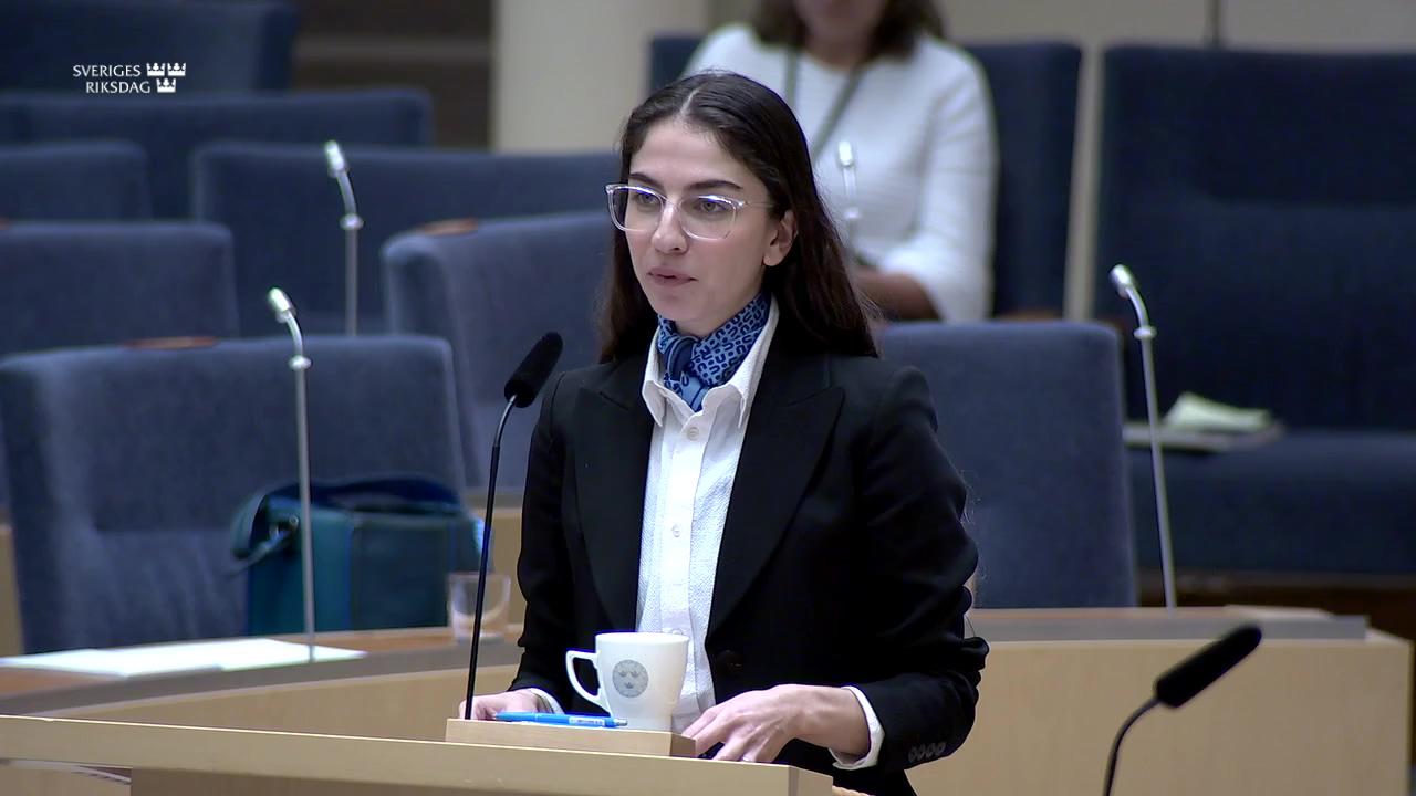 Stillbild från Interpellationsdebatt, Tillstånd för havsvindparker vid södra Skånes kust