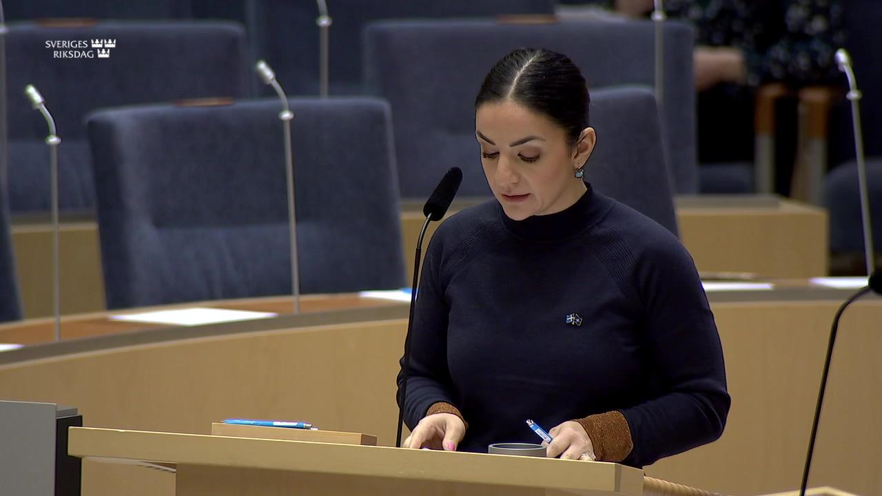 Stillbild från Interpellationsdebatt, Förbättrad folkhälsa genom skydd av barn från våldspornografi