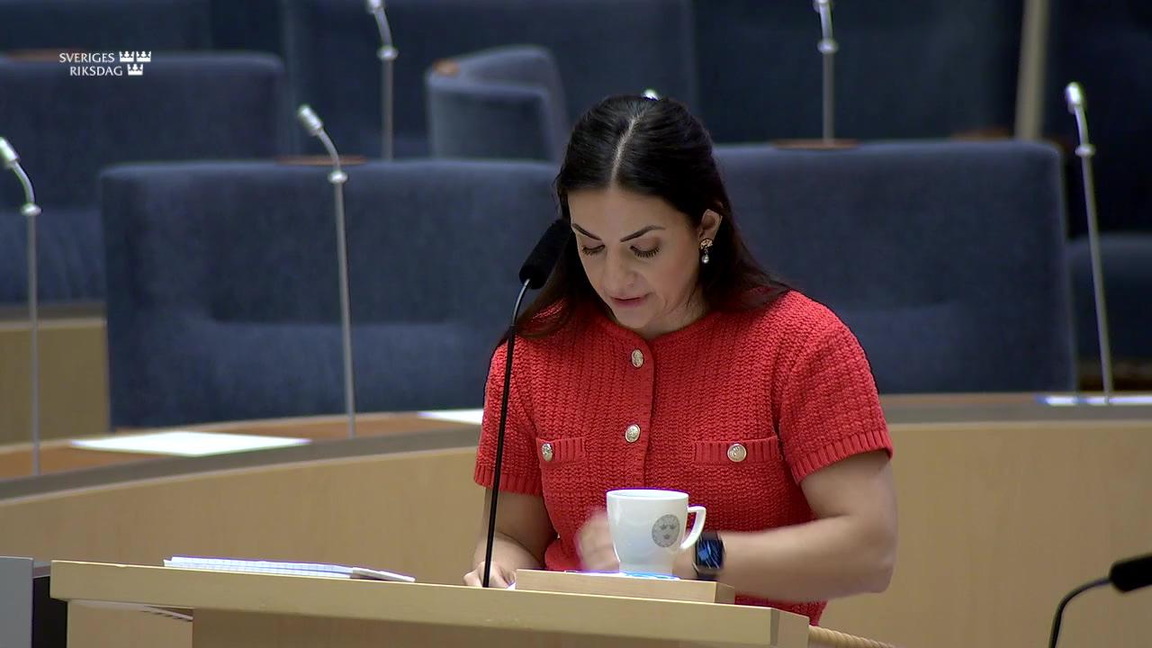 Stillbild från Interpellationsdebatt, Museers krisplaner