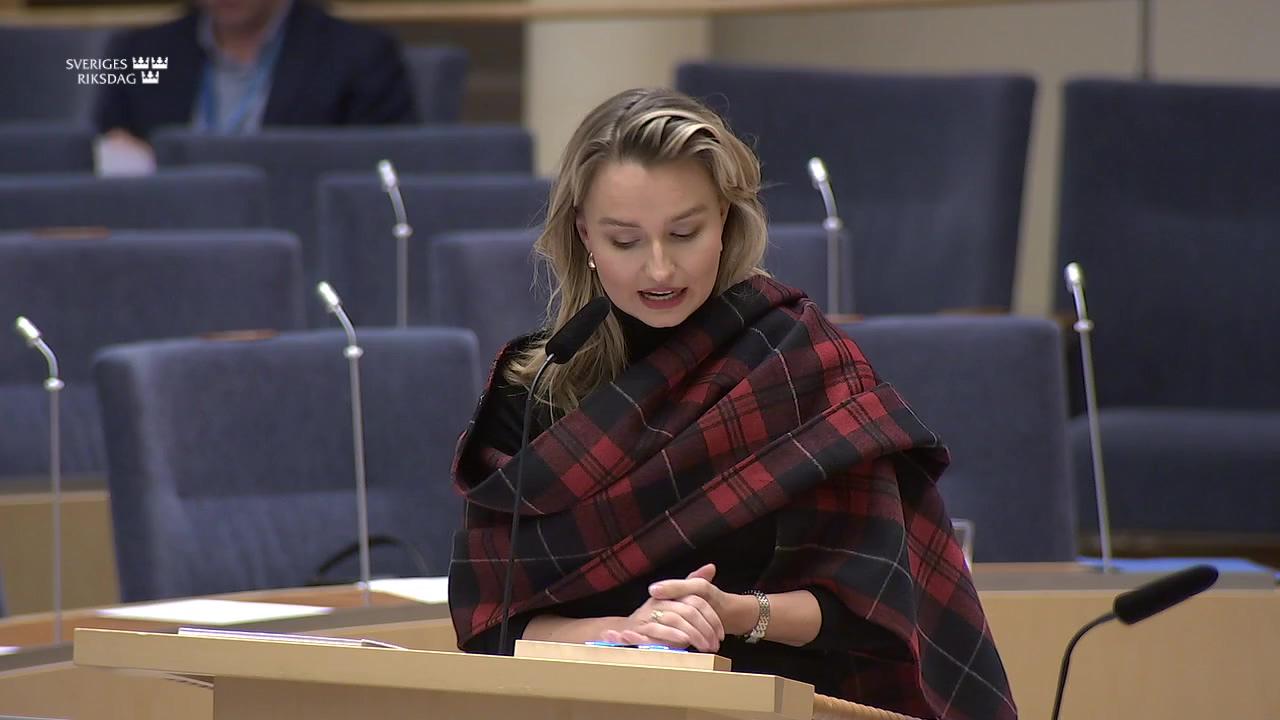 Stillbild från Interpellationsdebatt, Plan för ökad elproduktion till 2030 och 2035