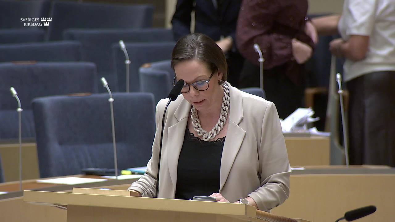 Stillbild från Interpellationsdebatt, Vapenexport till Förenade Arabemiraten