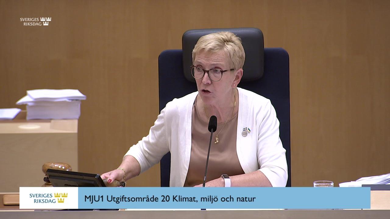 Stillbild från Beslut, Beslut: Utgiftsområde 20 Klimat, miljö och natur