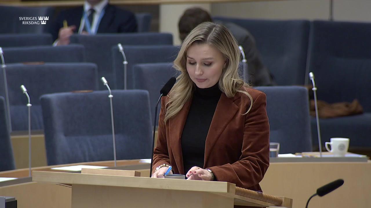 Stillbild från Interpellationsdebatt, Energieffektivisering i Sverige