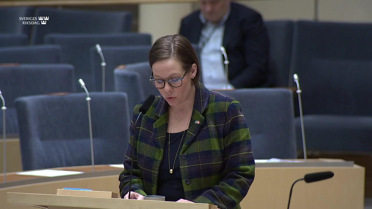 Stillbild från Interpellationsdebatt, Fredsprocessen i Turkiet