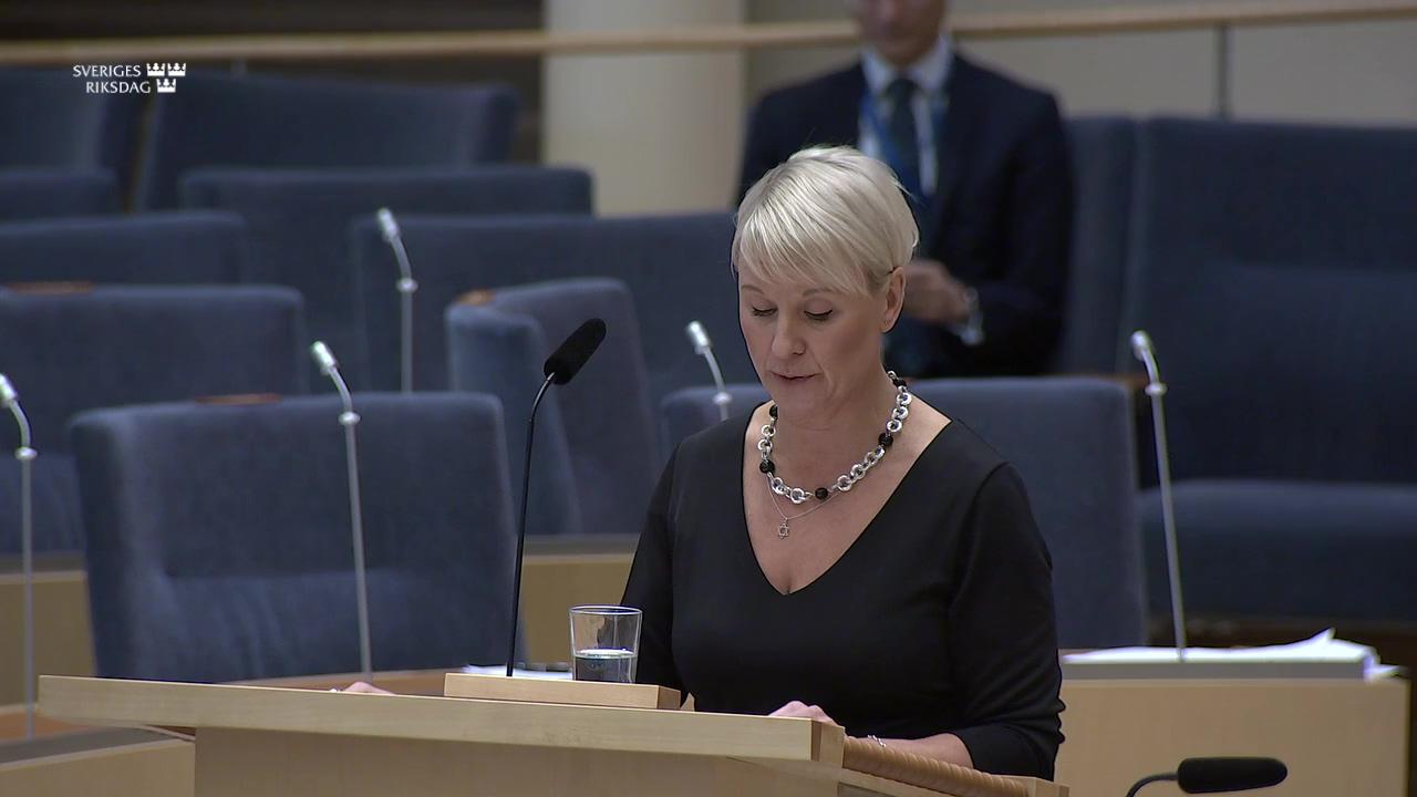 Stillbild från Interpellationsdebatt, Myndigheters arbete för att upptäcka relationsvåld