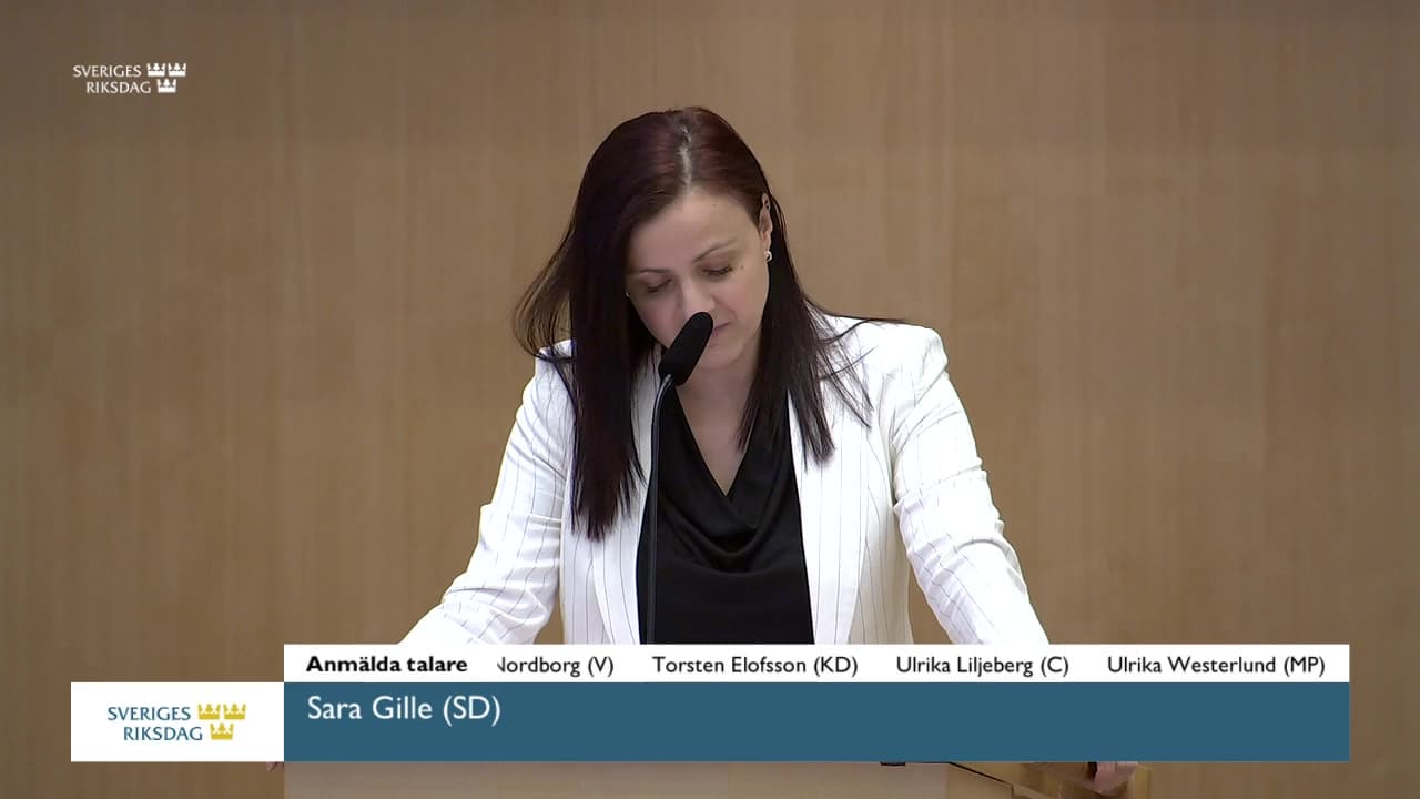 Stillbild från Debatt om förslag, En särskild straffbestämmelse för psykiskt våld