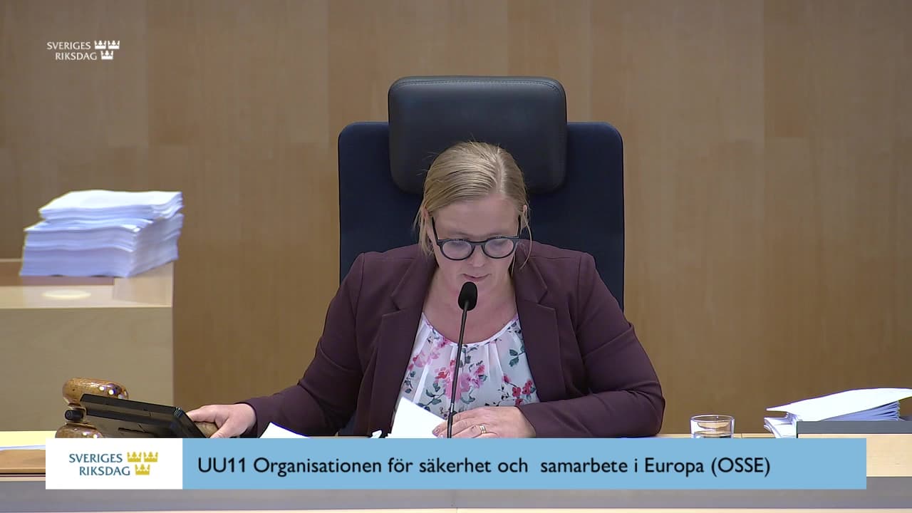 Stillbild från Beslut, Beslut: Organisationen för säkerhet och samarbete i Europa (OSSE)