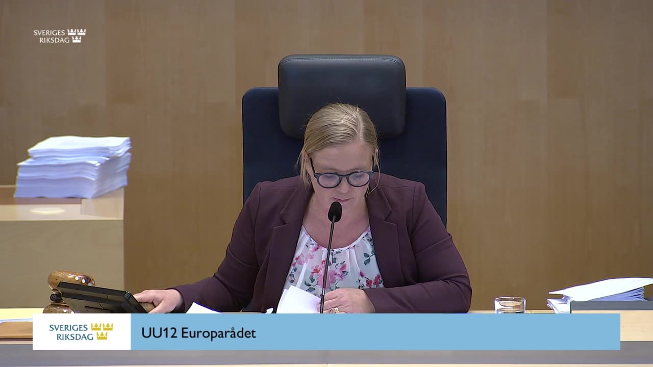 Stillbild från Beslut, Beslut: Europarådet