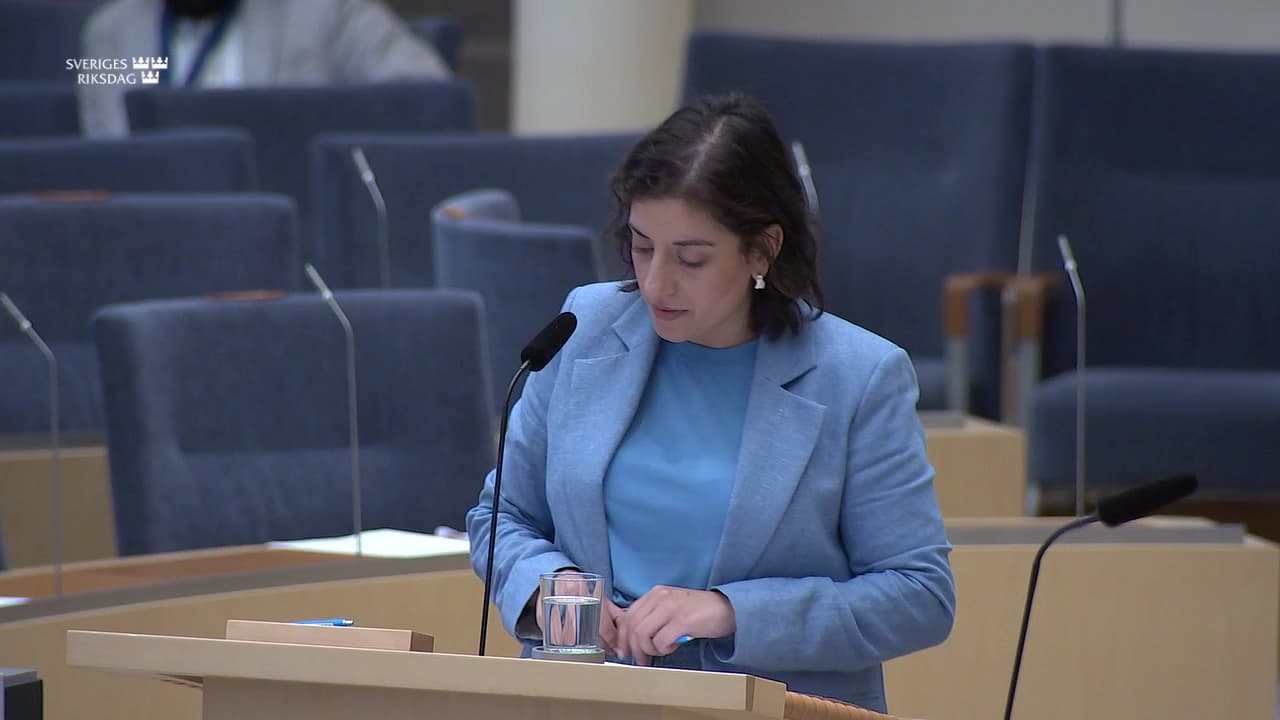 Stillbild från Interpellationsdebatt, Skolmarknaden